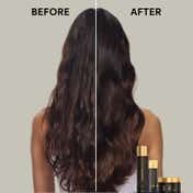 Sebastian Professional Dark Oil Lightweight Shampoo for Hydration & Smoothening (250 ml)