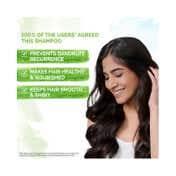 Mamaearth Lemon Shampoo(250 ml) +  Lemon Conditioner (250 ml) Combo