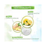 Mamaearth Lemon Shampoo(250 ml) +  Lemon Conditioner (250 ml) Combo
