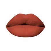 PAC Moody Matte Lipstick Comfortable 12H Wear Smudgeproof Transferproof - Brunch Munch (1.6 g)