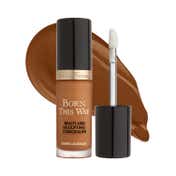 Too Faced Born This Way Super Coverage Multi Use Sculpting Concealer - Toffee (13.5 ml)