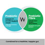 Wellbeing Nutrition Daily Probiotic + Prebiotic for Men & Women - Tablets 21's Pack of 2 Combo