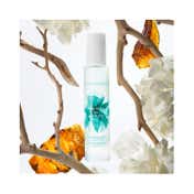 Moroccanoil Brumes Du Maroc Hair And Body Fragrance Mist (100ml)