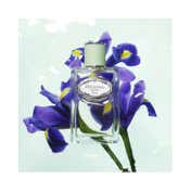 Prada Infusion D'Iris Eau De Parfum (100ml)