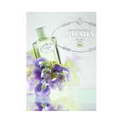 Prada Infusion D'Iris Eau De Parfum (100ml)