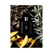 Ralph Lauren Polo Black Eau De Toilette (75ml)