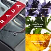 Prada Luna Rossa Carbon Eau De Toilette (50ml)