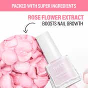 Faces Canada Smooth & Even Nail Primer, Vitamin E & Rose Quartz, Cruelty-free (5 ml)