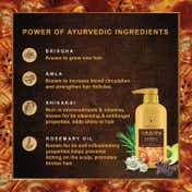 Indulekha Bringha Ayurvedic Shampoo (580ml)