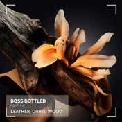 Boss Bottled Parfum (200 ml)