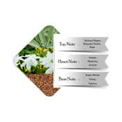 Police To Be Goodvibes Eau De Toilette for Man (125ml)