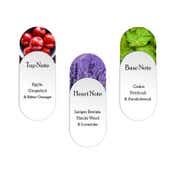 s.Oliver Pure Sense Men Eau De Toilette (30ml)