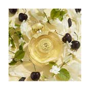 Guess Bella Vita Eau De Parfum (30ml)