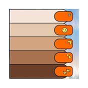 Gush Beauty Nail Lacquer - Orangesicle (8 ml)