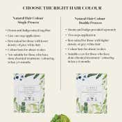Sadhev Natural Hair Colour Double Process (100g)