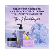 Lux Lavender & Vitamin C Shim Body Wash (400 ml)