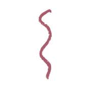 Character Revolution Matte Lipstick - RL005 (3 g)