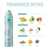 AND Mystique Elegance Deodorant Body Spray Gift for Women (200ml)