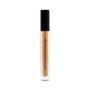 Character HD Coverage Concealer - PIC007 (7 ml)