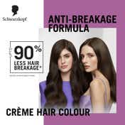 Schwarzkopf Colour Specialist At Home Permanent Hair Colour - 5.0 Light Natural Brown (165 ml)
