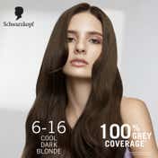 Schwarzkopf Colour Specialist At Home Permanent Hair Colour - 6.16 Cool Dark Blonde (165 ml)