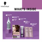 Schwarzkopf Colour Specialist At Home Permanent Hair Colour - 4.54 Medium Hazelnut Brown (165 ml)