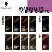 Schwarzkopf Colour Specialist At Home Permanent Hair Colour - 4.54 Medium Hazelnut Brown (165 ml)