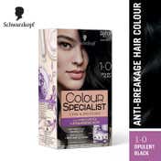 Schwarzkopf Black Hair Color Combo - 2 (Permanent + Touch Up)