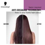 Schwarzkopf Black Hair Color Combo - 2 (Permanent + Touch Up)
