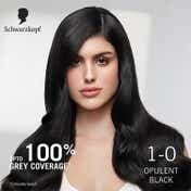 Schwarzkopf Black Hair Color Combo - 2 (Permanent + Touch Up)