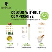 Schwarzkopf Black Hair Color Combo -1 (Permanent + Touch Up)
