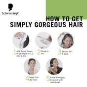 Schwarzkopf Simply Colour Permanent Hair Colour For 100% Grey Coverage - 3.00 Dark Brown (142.5 ml)