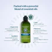 L'occitane Anti Dandruff Shampoo (300ml)