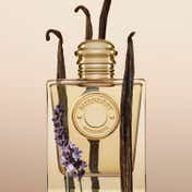 Burberry Goddess Eau de Parfum for Women (100 ml)