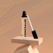 Daily Life Forever52 Coverup Concealer CCU20.2 - Natural (7 ml)