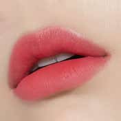 Etude Fixing Tint Lipstick #10 - Smoky Cherry (4 g)