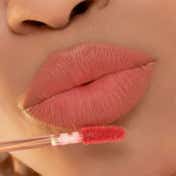 Etude Fixing Tint Lipstick #12 - Salmon Brick (4 g)