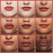 Etude Fixing Tint Lipstick #12 - Salmon Brick (4 g)