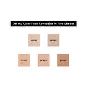 Lamel Oh My Clear Complexion Face Concealer Available In Five Shades