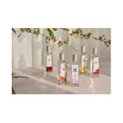 The Body Shop Glowing Cherry Blossom Eau De Toilette For Women (50ml)