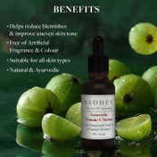 Sadhev Ayurvedic Vitamin C Serum (10ml)
