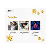 Love Earth Premium Reed Diffuser Vanilla Aromatherapy Long Lasting Fragrance (30ml)