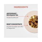 Innisfree Black Tea Enhancing Cream (50ml)