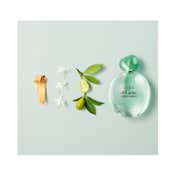Giorgio Armani Acqua Di Gioia Eau De Parfum (100ml)