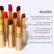 Forest Essentials Madhu Rasa Tinted Lip Serum - Misri Cardamom (2.2 g)