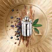 Azzaro Wanted EDP (50ml)