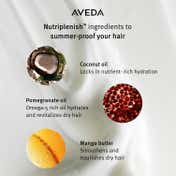 Aveda Nutriplenish Overnight Serum (100ml)