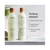 Aveda Rosemary Mint Purifying Shampoo (250ml)