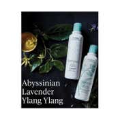 Aveda Shampure Nurturing Shampoo (250ml)