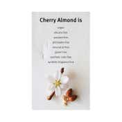 Aveda Cherry Almond Conditioner (200 ml)